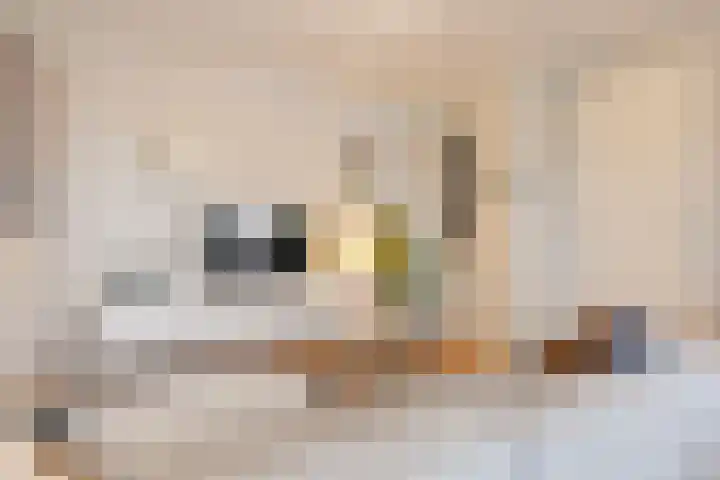 Smidspad 65 a Tilburg thumbnail 6