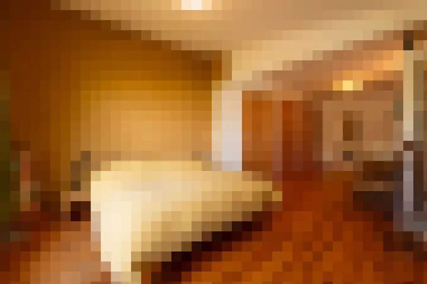 Smidspad 71 Tilburg thumbnail 31