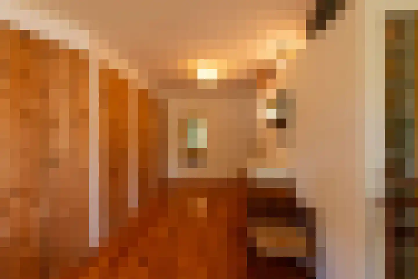 Smidspad 71 Tilburg thumbnail 33