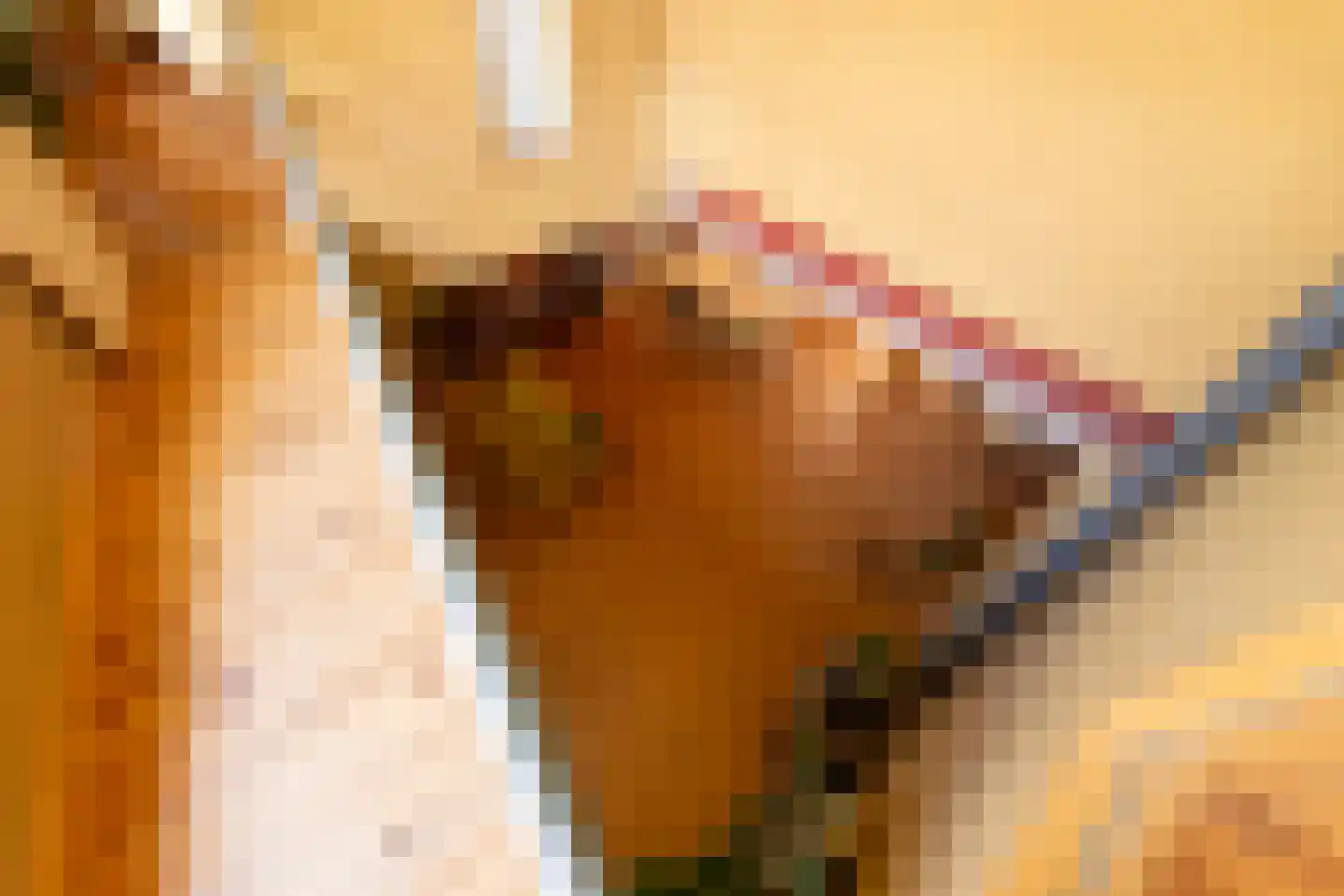 Smidspad 71 Tilburg thumbnail 42