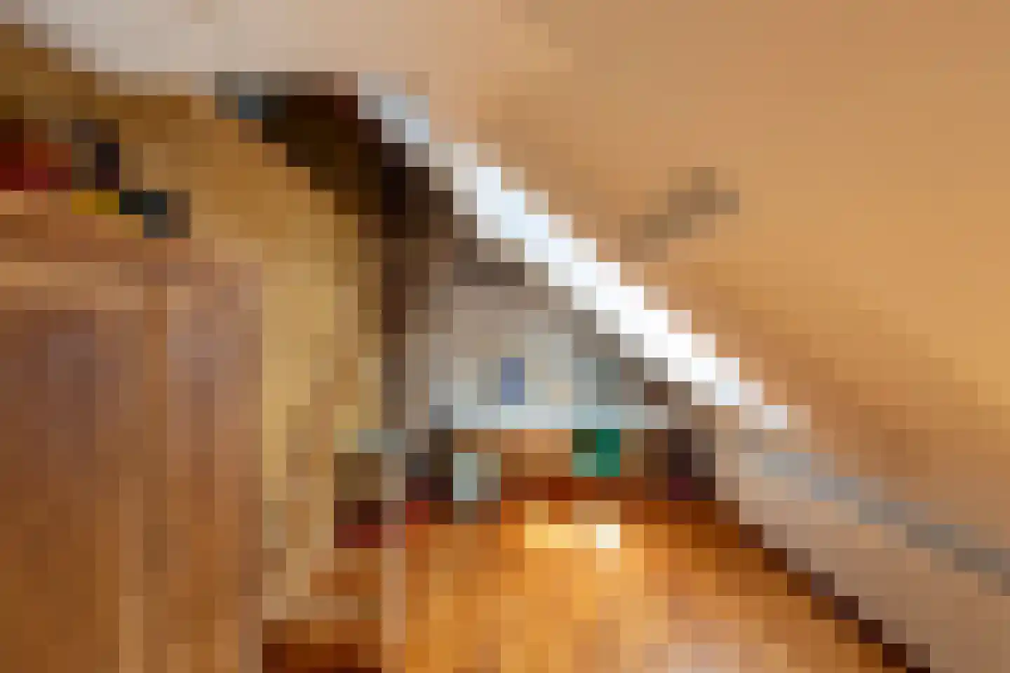 Smidspad 71 Tilburg thumbnail 48