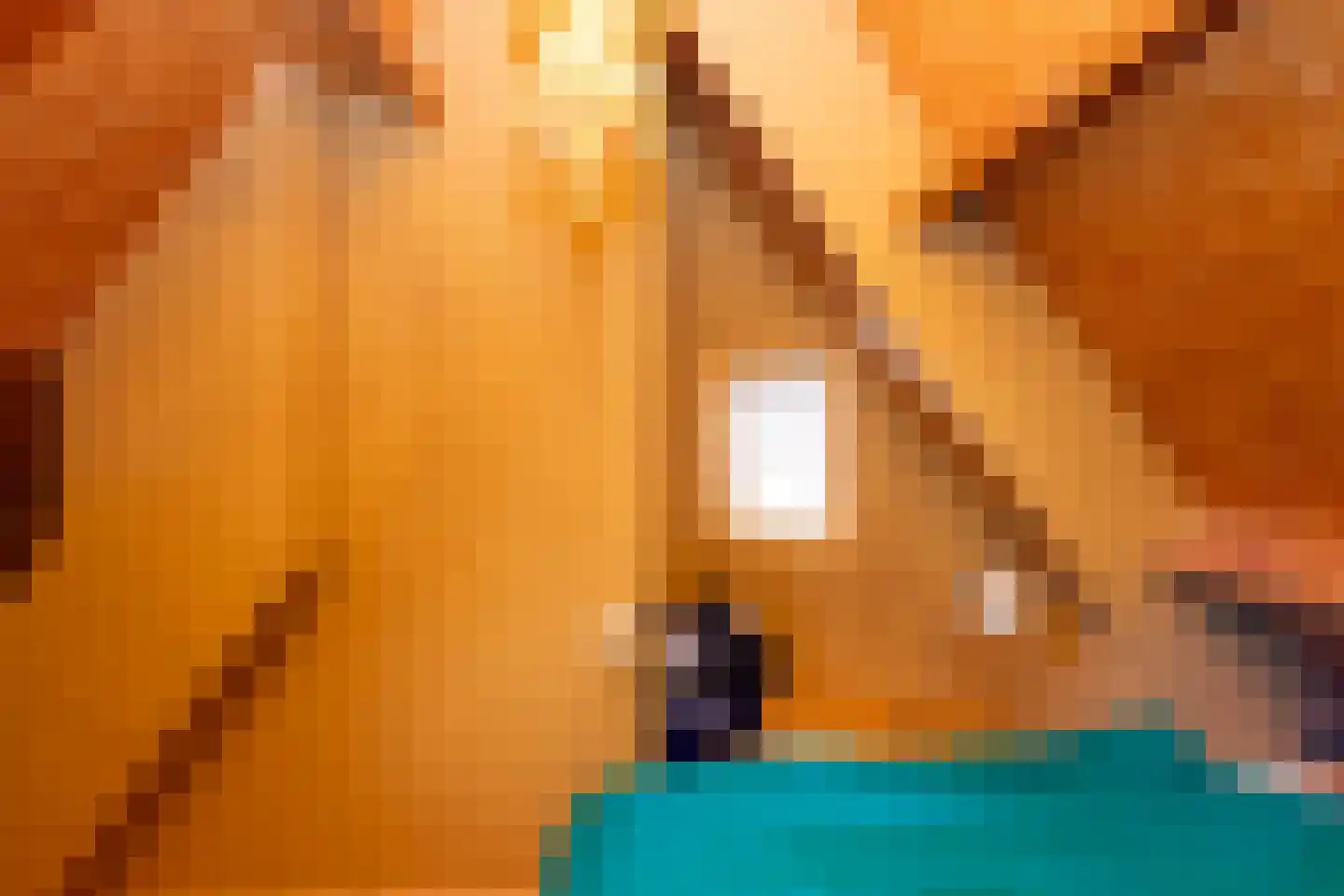 Smidspad 71 Tilburg thumbnail 51