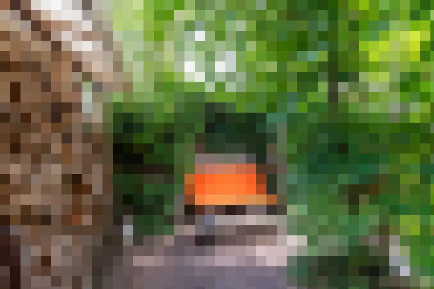 Smidspad 71 Tilburg thumbnail 56