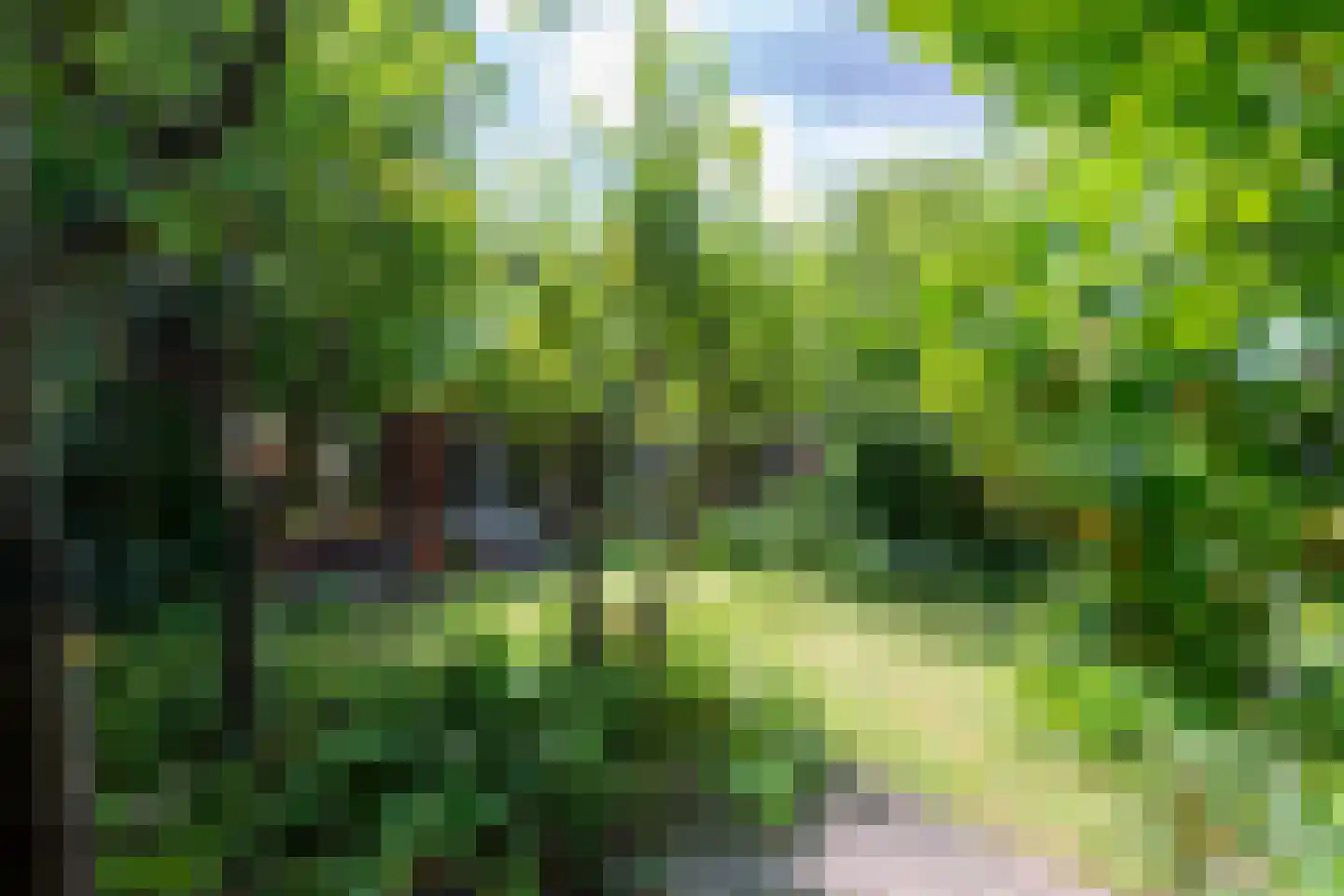 Smidspad 71 Tilburg thumbnail 57