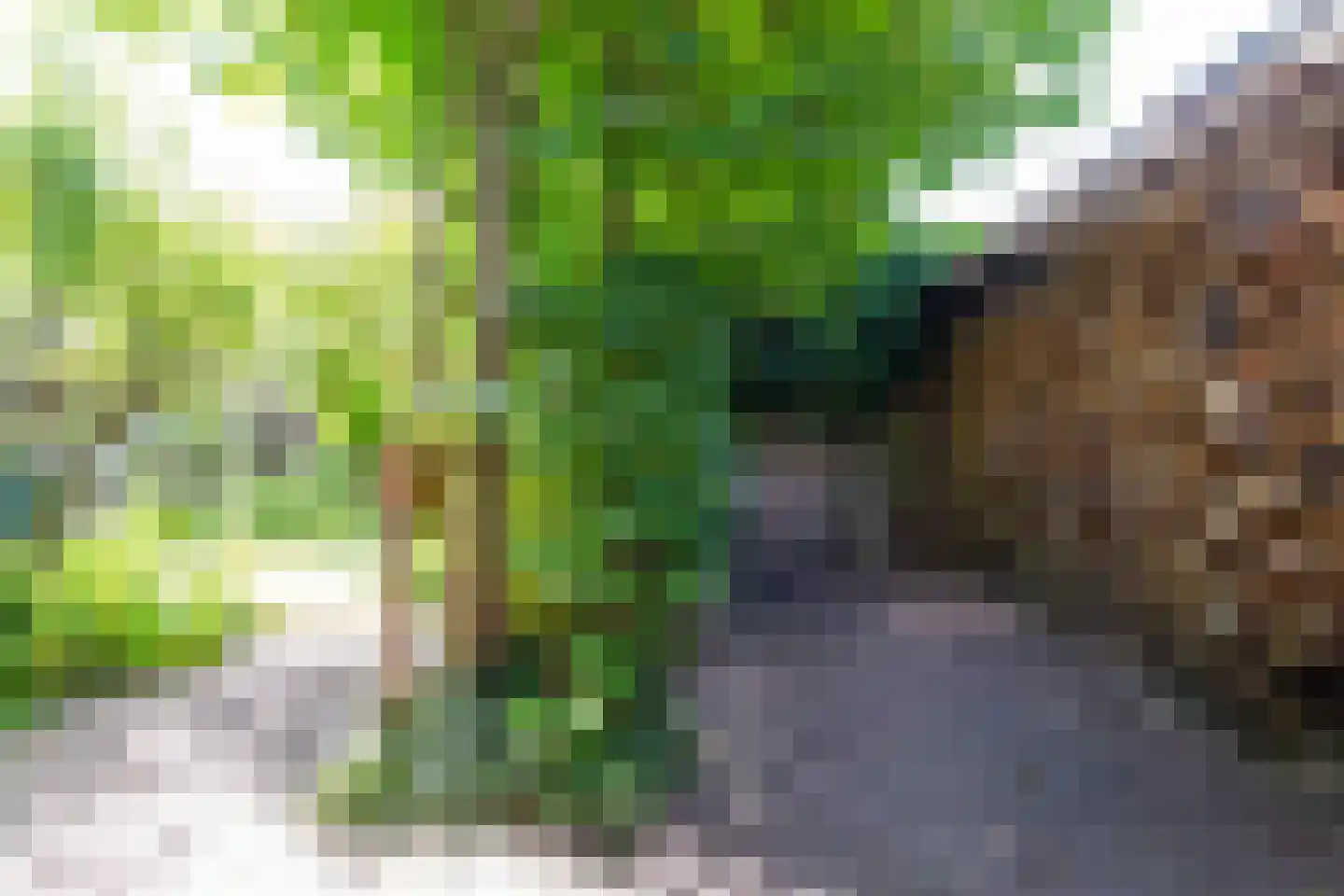 Smidspad 71 Tilburg thumbnail 58