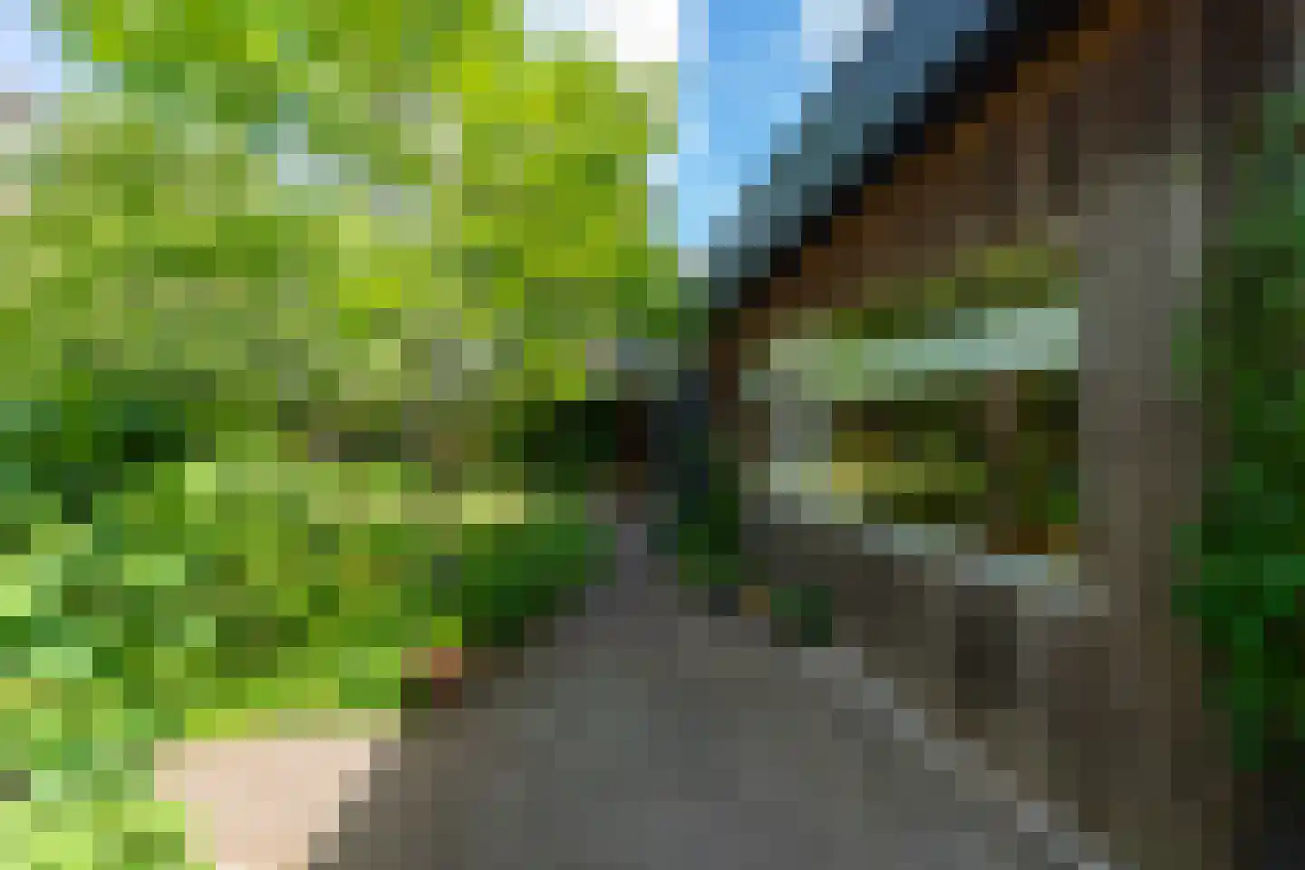 Smidspad 71 Tilburg thumbnail 61