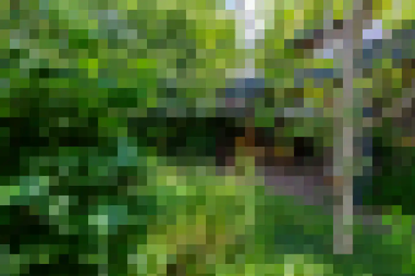 Smidspad 71 Tilburg thumbnail 64