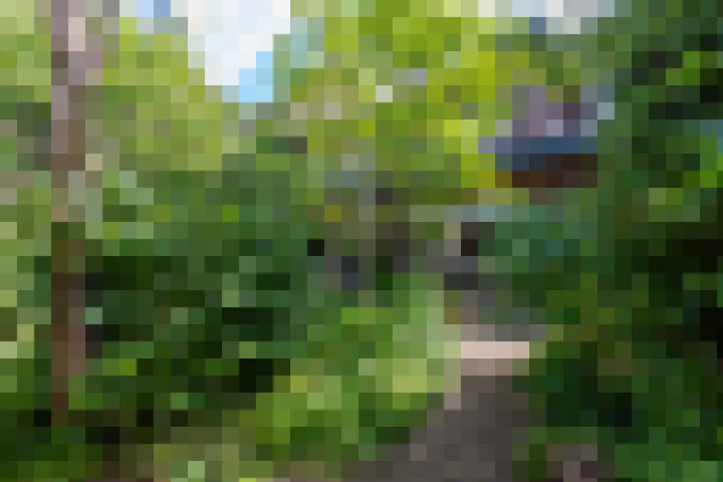 Smidspad 71 Tilburg thumbnail 65