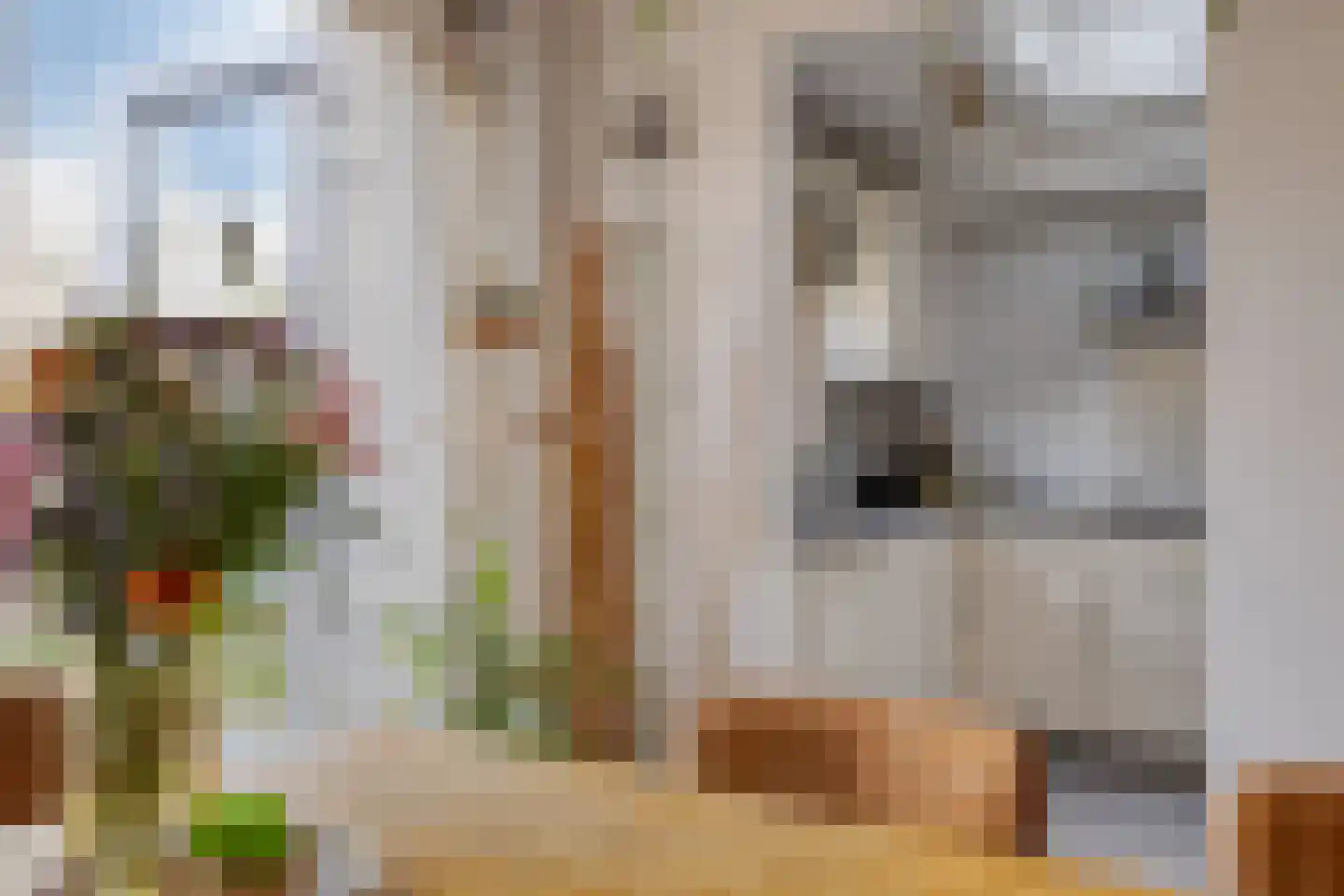 Smidspad 95 Tilburg thumbnail 12