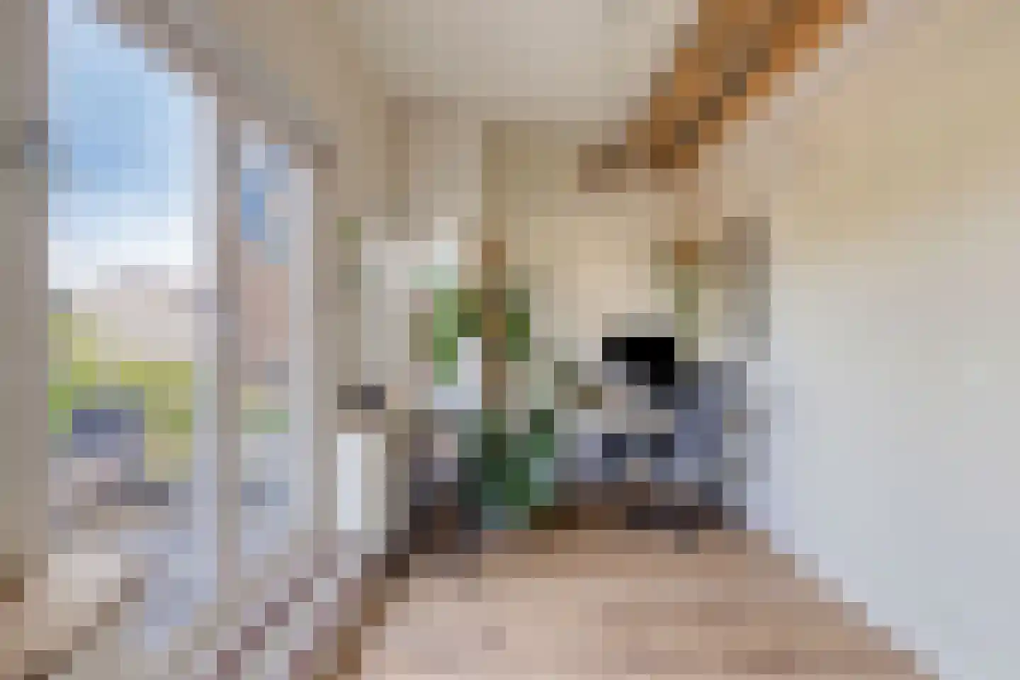 Smidspad 95 Tilburg thumbnail 18