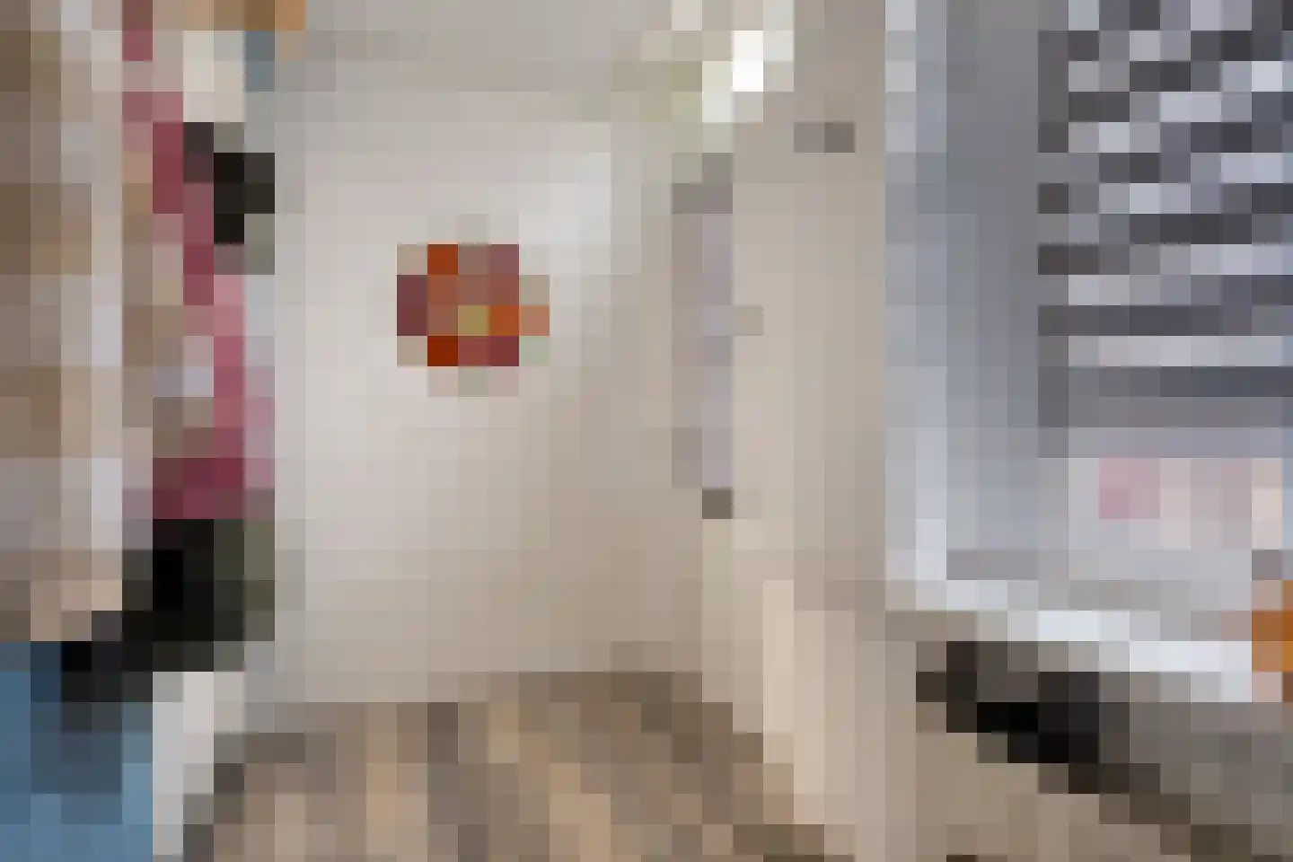 Smidspad 95 Tilburg thumbnail 6
