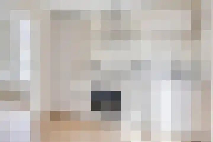 Smidssteeg 60 Leiden thumbnail 8