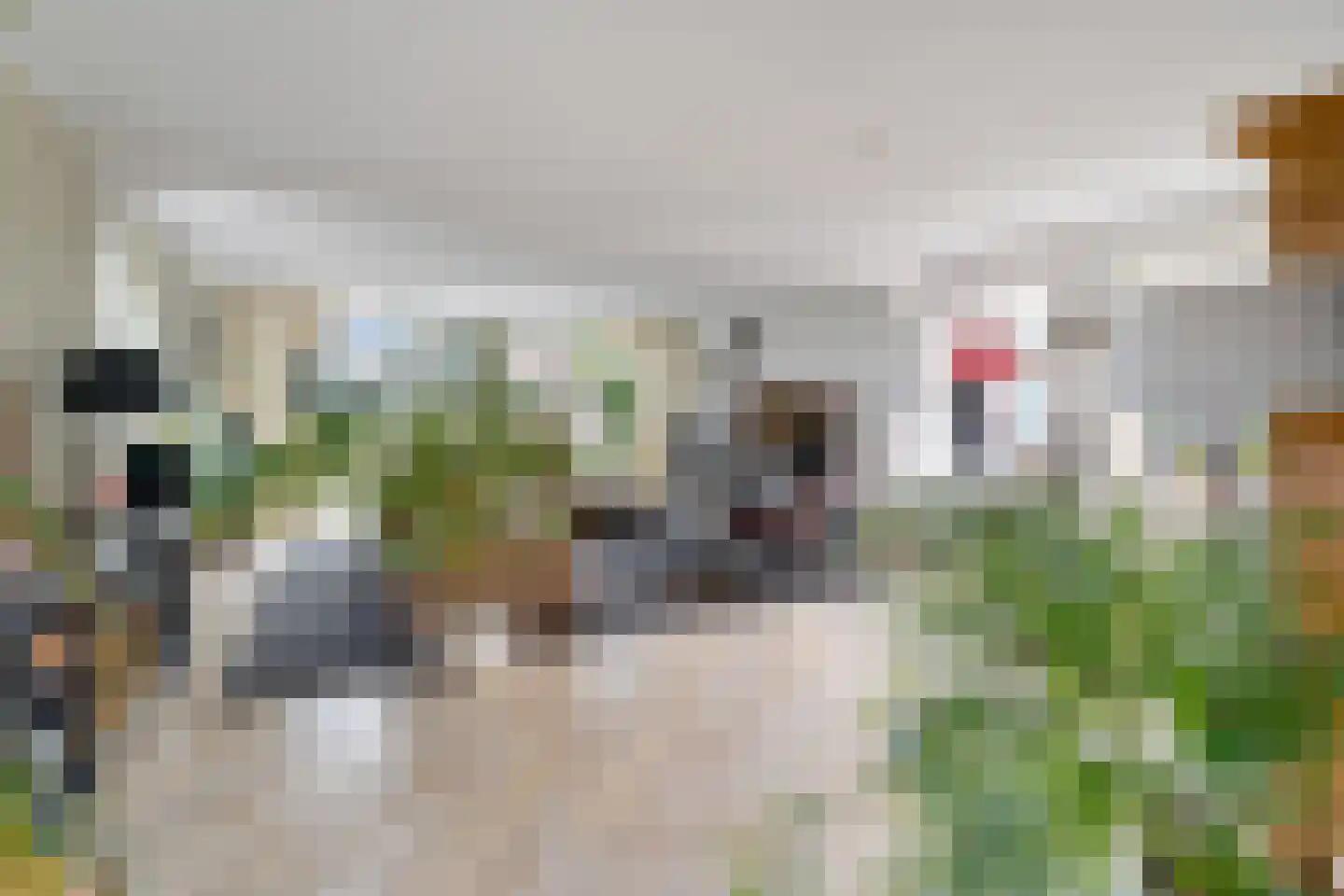 Smidsstraat 10 a Daarlerveen thumbnail 14