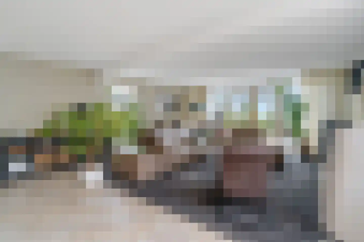 Smidsstraat 10 a Daarlerveen thumbnail 15