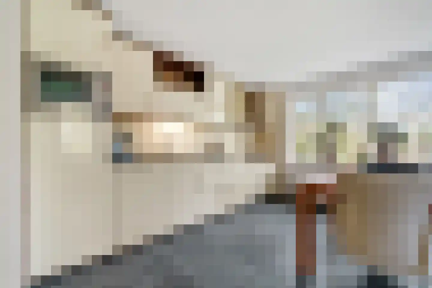 Smidsstraat 10 a Daarlerveen thumbnail 21