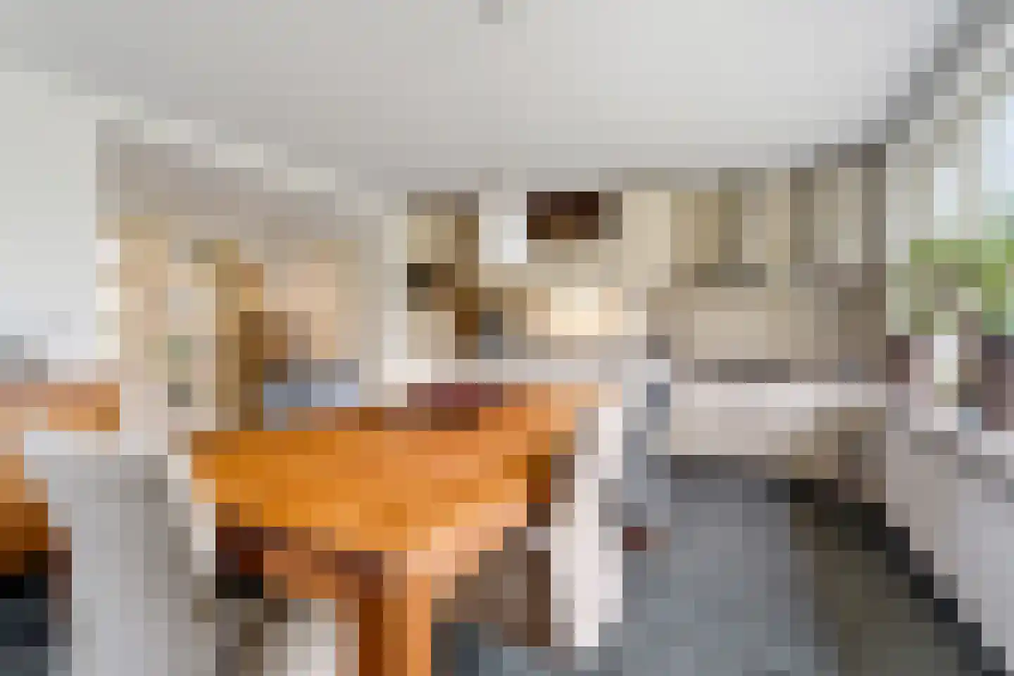 Smidsstraat 10 a Daarlerveen thumbnail 23