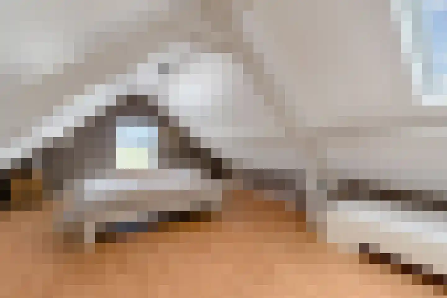 Smidsstraat 10 a Daarlerveen thumbnail 26