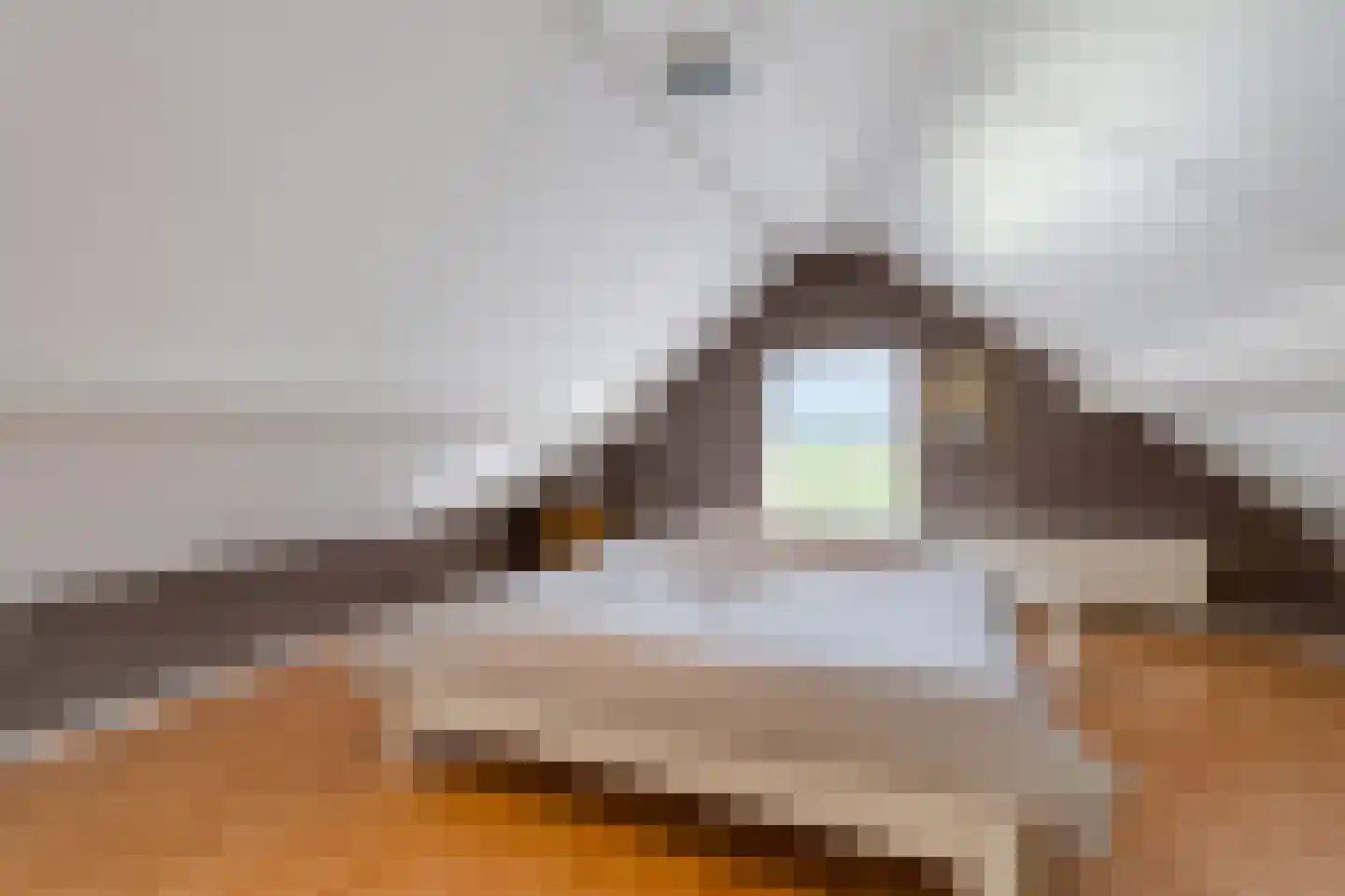 Smidsstraat 10 a Daarlerveen thumbnail 27