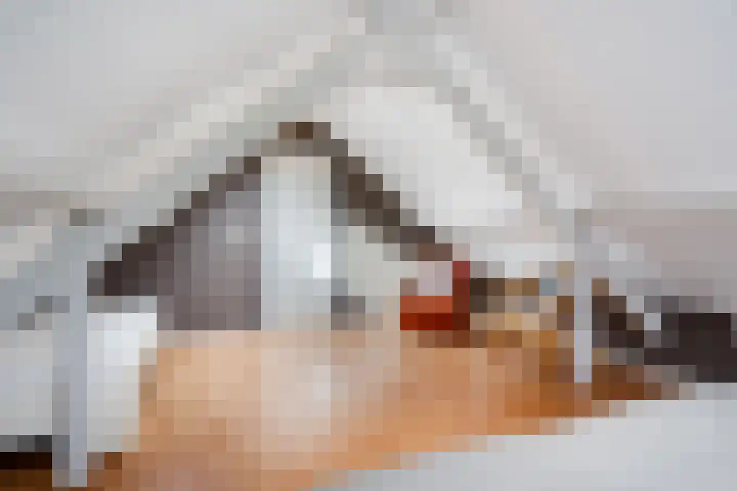 Smidsstraat 10 a Daarlerveen thumbnail 28