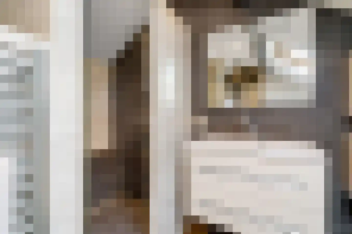 Smidsstraat 10 a Daarlerveen thumbnail 33