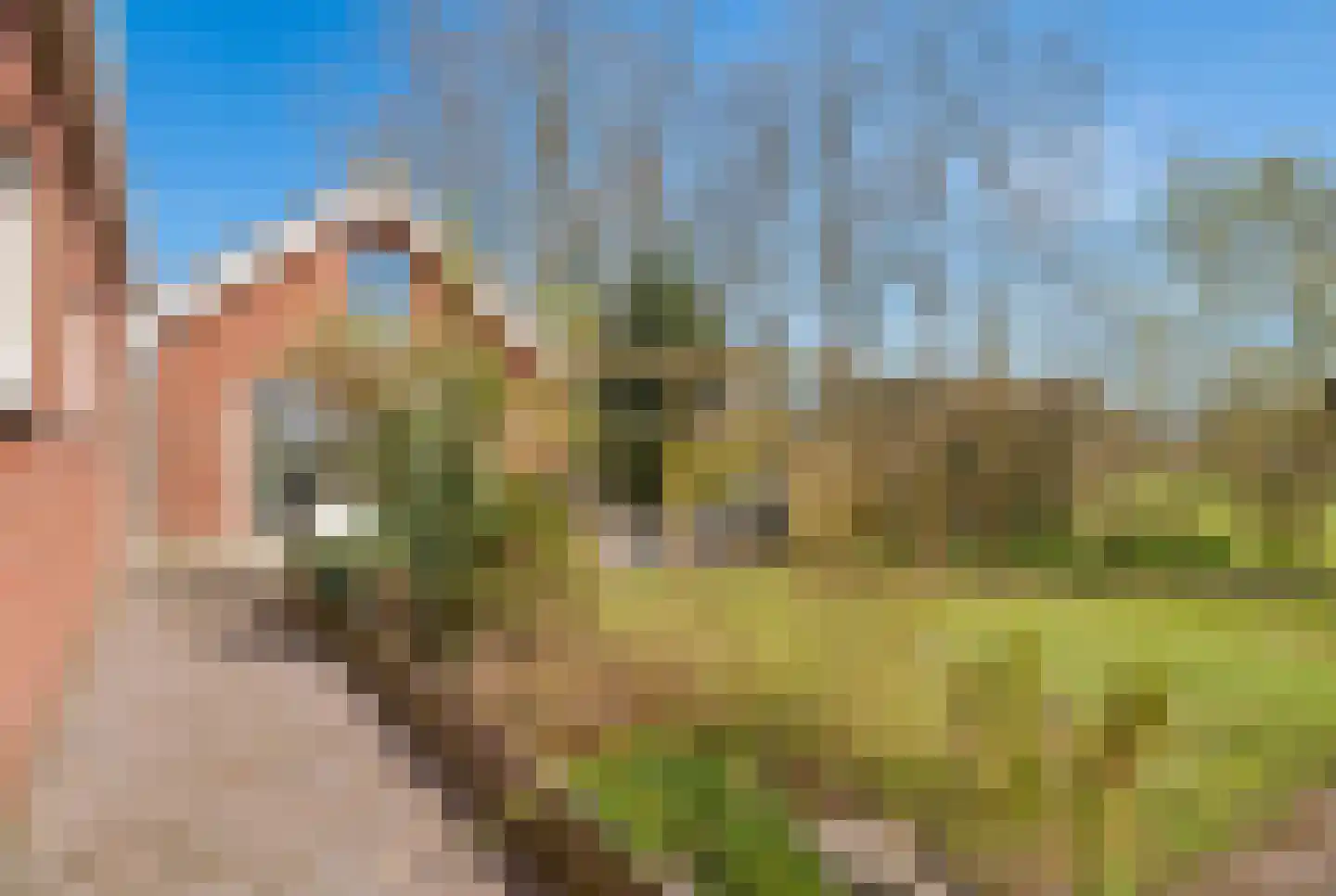 Smidsstraat 10 a Daarlerveen thumbnail 36