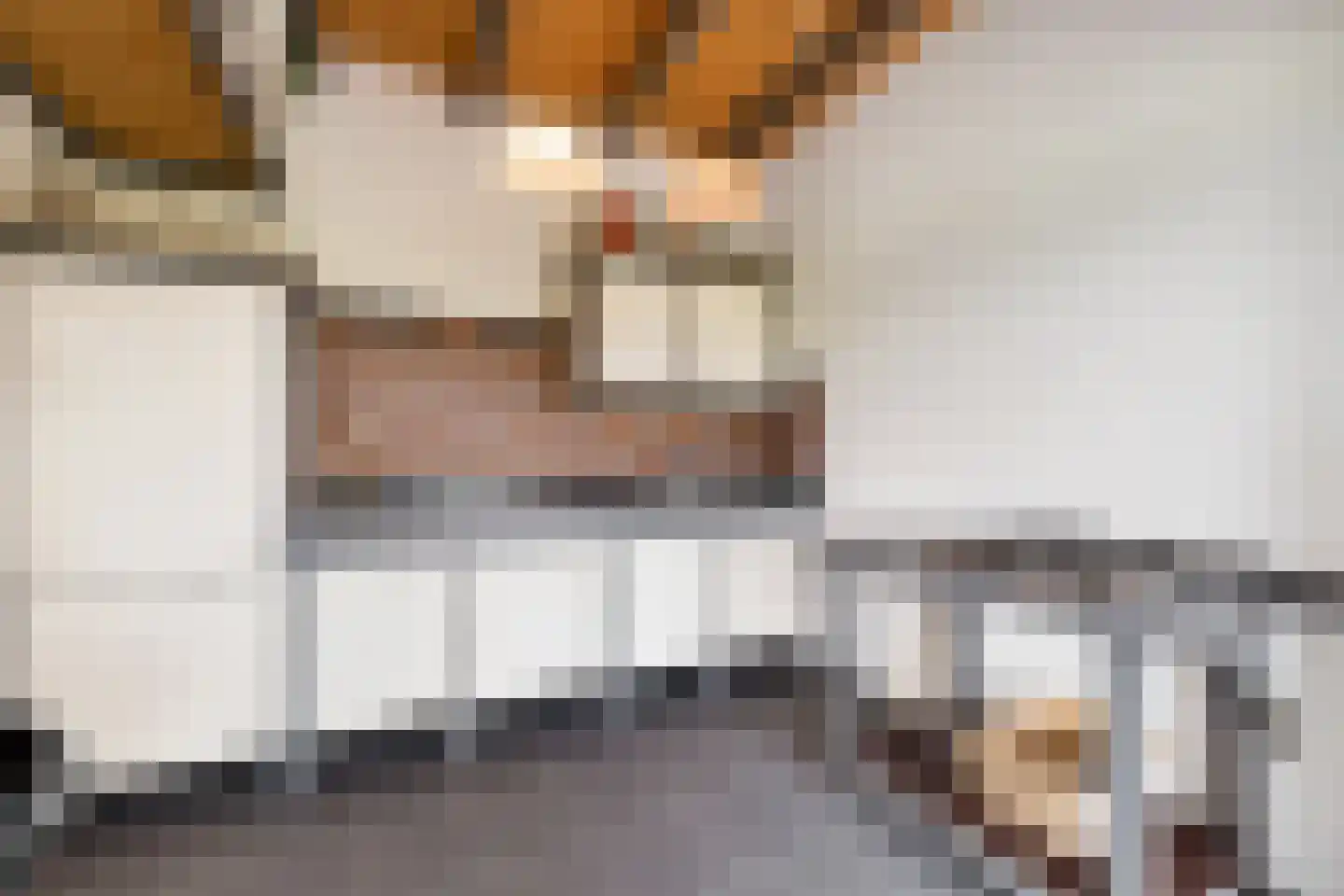 Smidsstraat 10 a Daarlerveen thumbnail 42