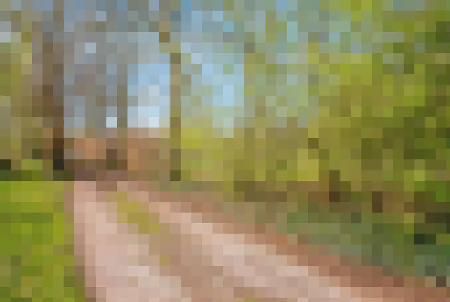 Smidsstraat 10 a Daarlerveen thumbnail 8