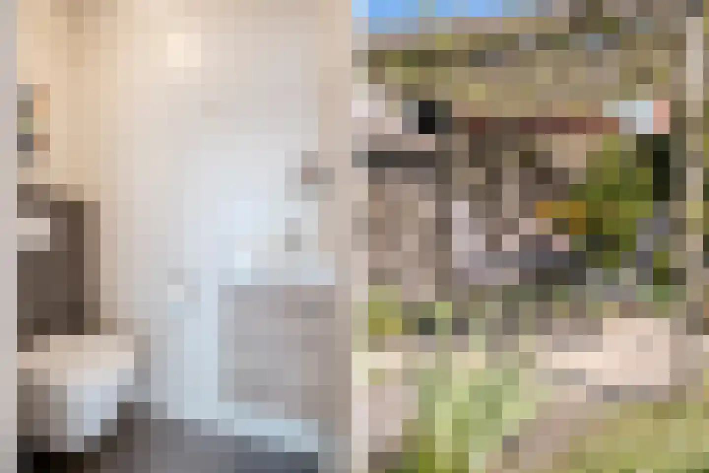 Smidsstraat 2 Hooge Mierde thumbnail 33