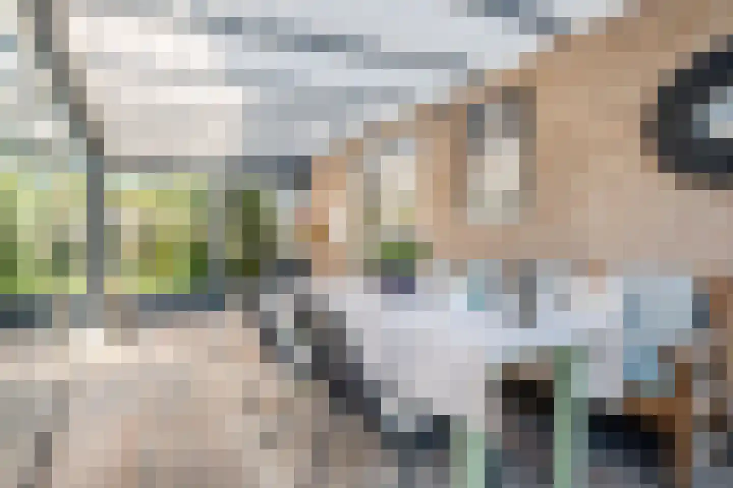 Smidsstraat 2 Hooge Mierde thumbnail 35
