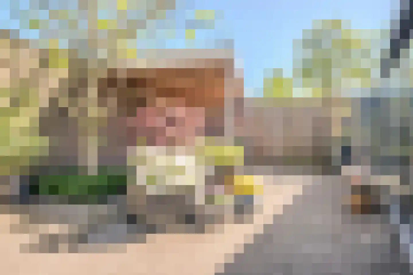 Smidsstraat 2 Hooge Mierde thumbnail 36