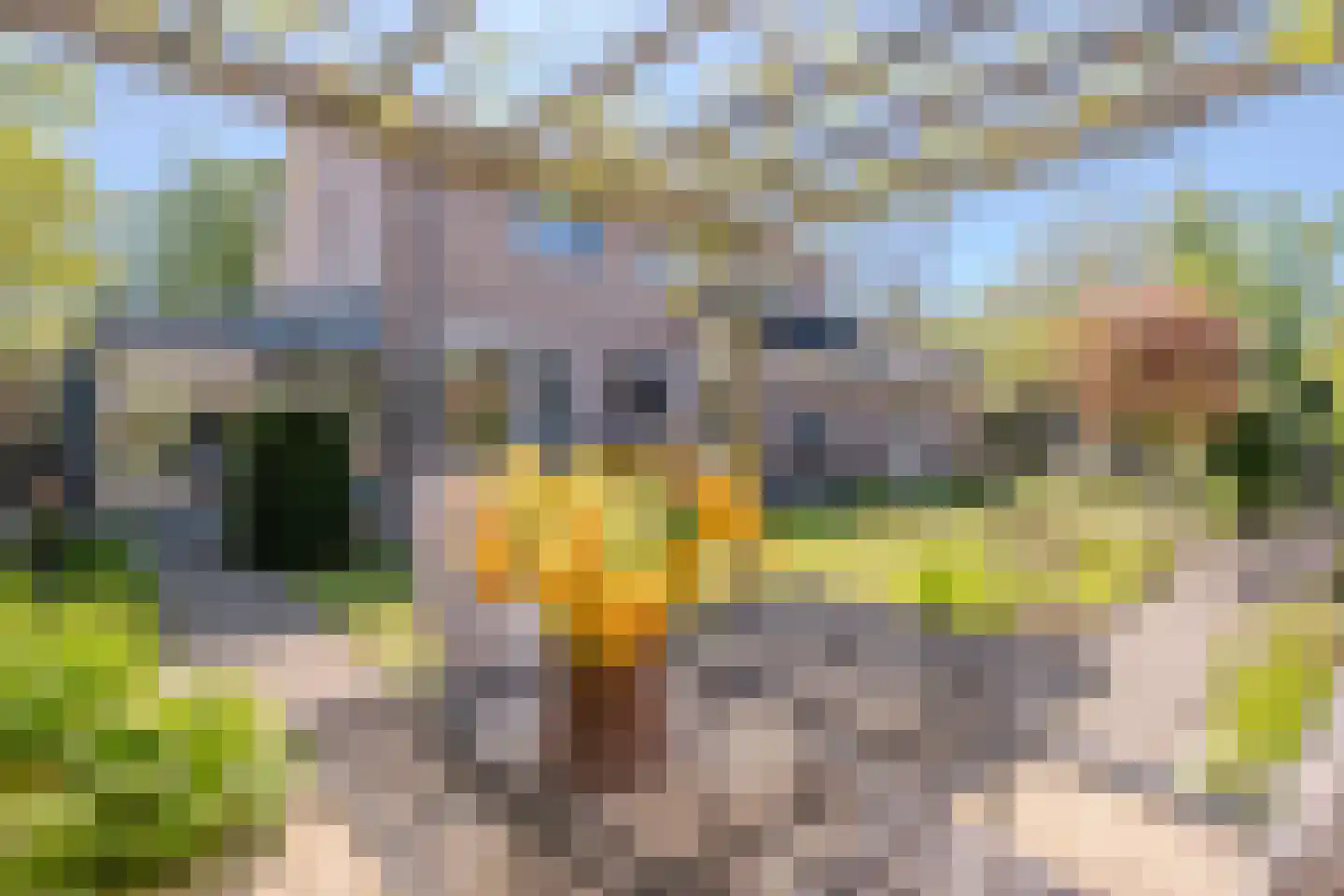 Smidsstraat 2 Hooge Mierde thumbnail 38