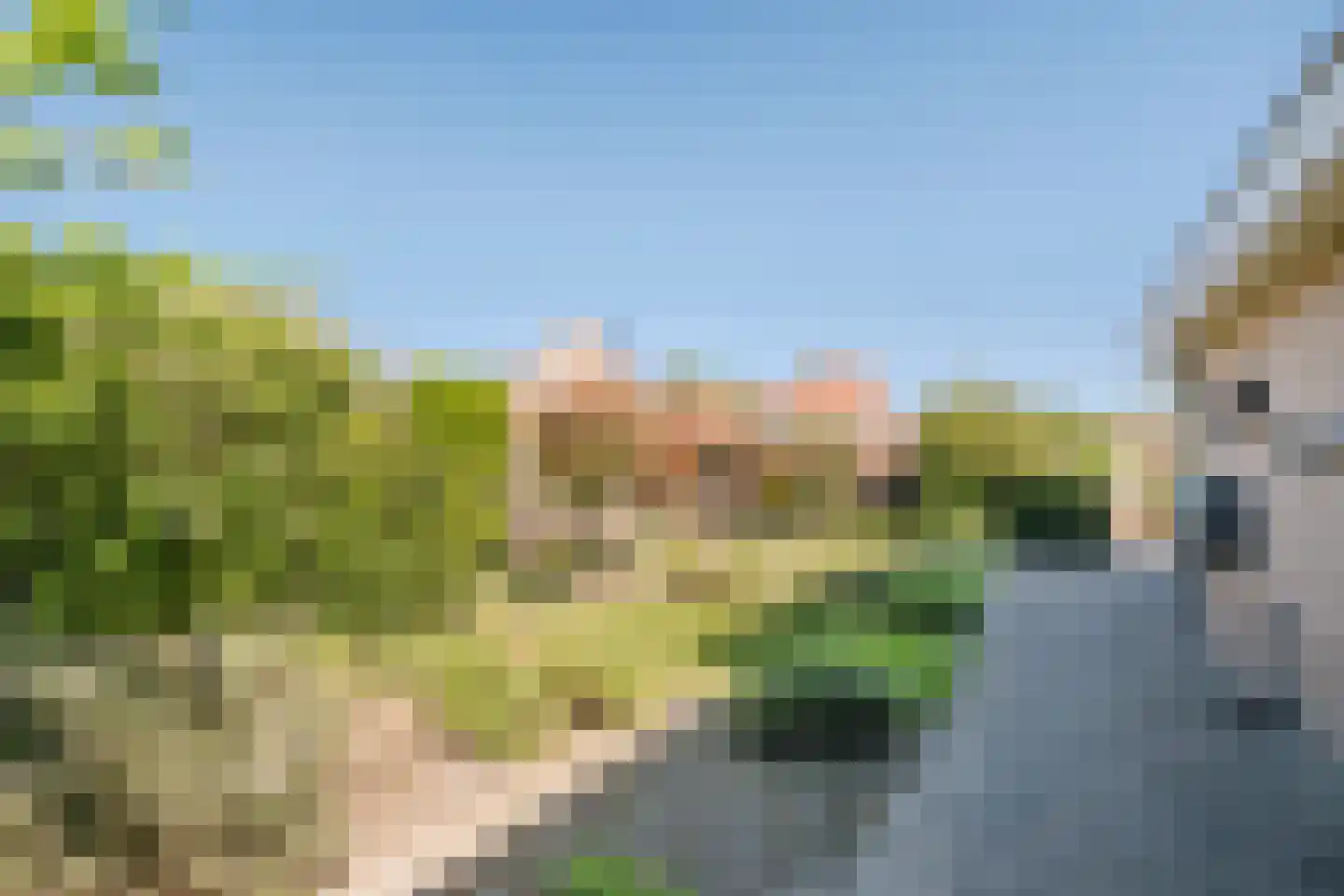 Smidsstraat 2 Hooge Mierde thumbnail 41