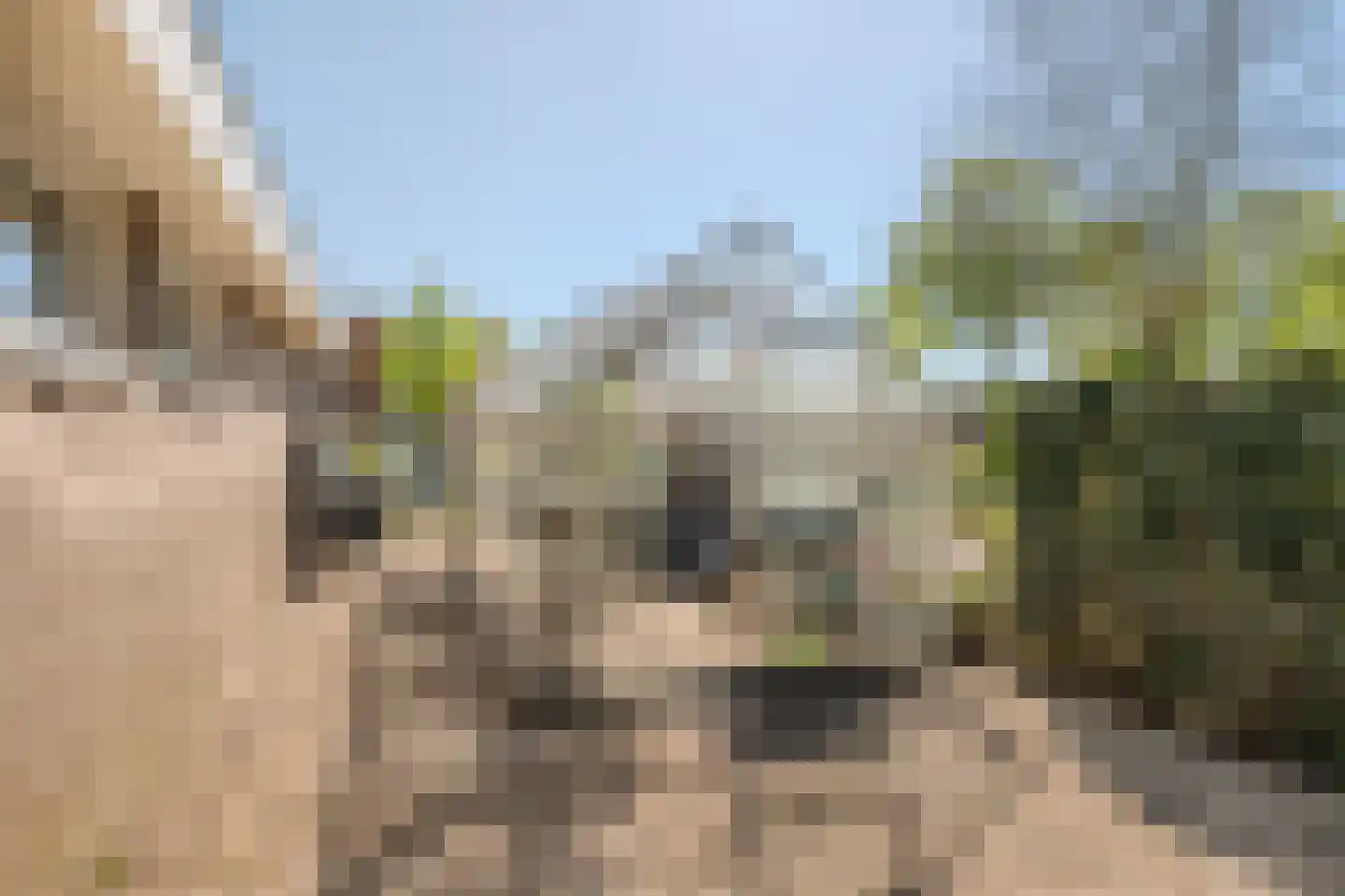 Smidsstraat 2 Hooge Mierde thumbnail 43