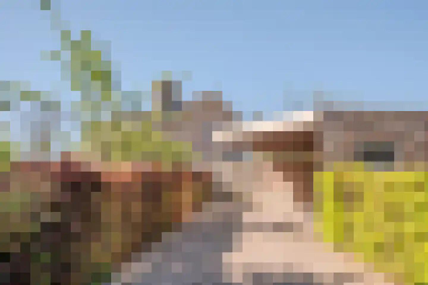 Smidsstraat 2 Hooge Mierde thumbnail 47