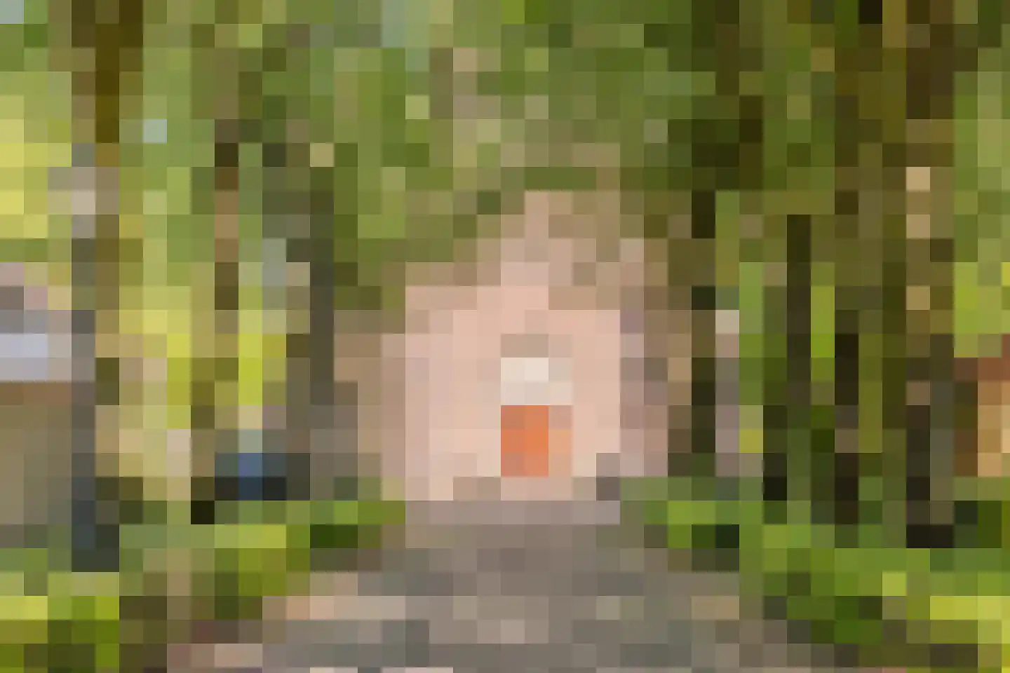 Smidsstraat 2 Hooge Mierde thumbnail 50