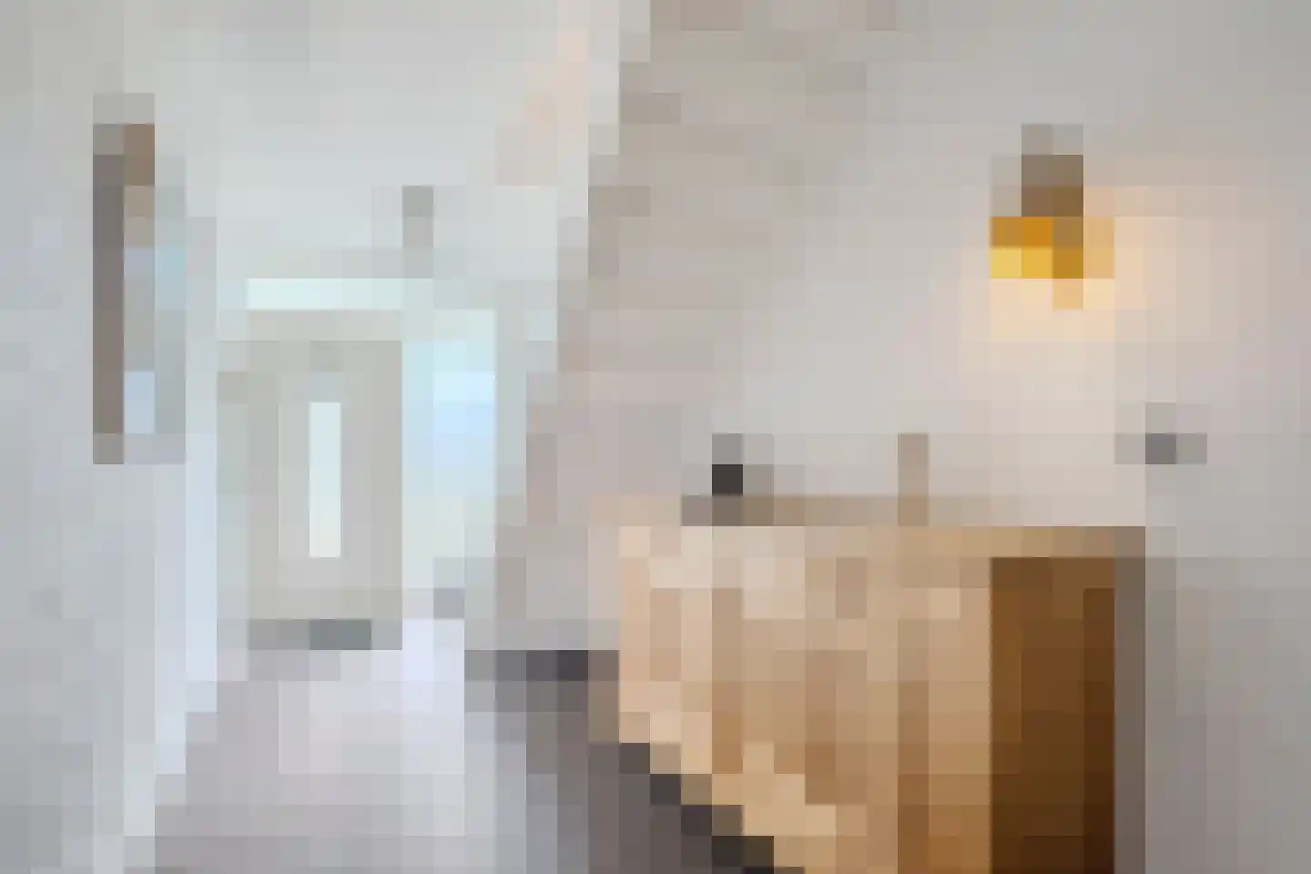 Smidsstraat 2 Hooge Mierde thumbnail 8
