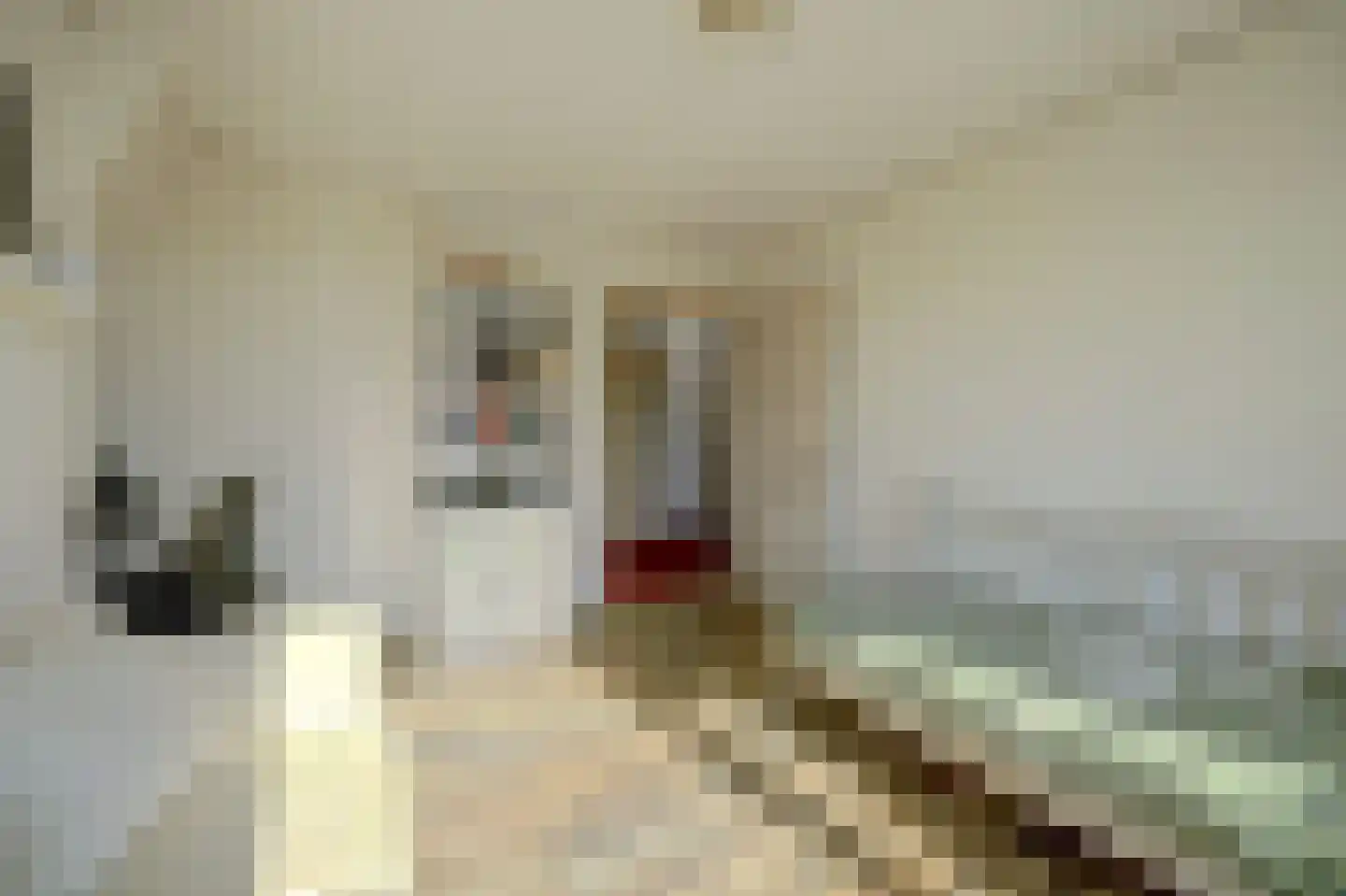Smidsstraat 6 Poortvliet thumbnail 30