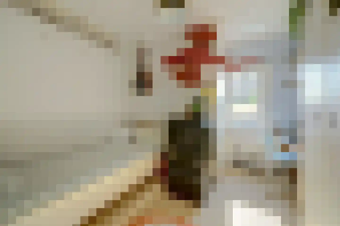 Smidsstraat 6 Poortvliet thumbnail 33
