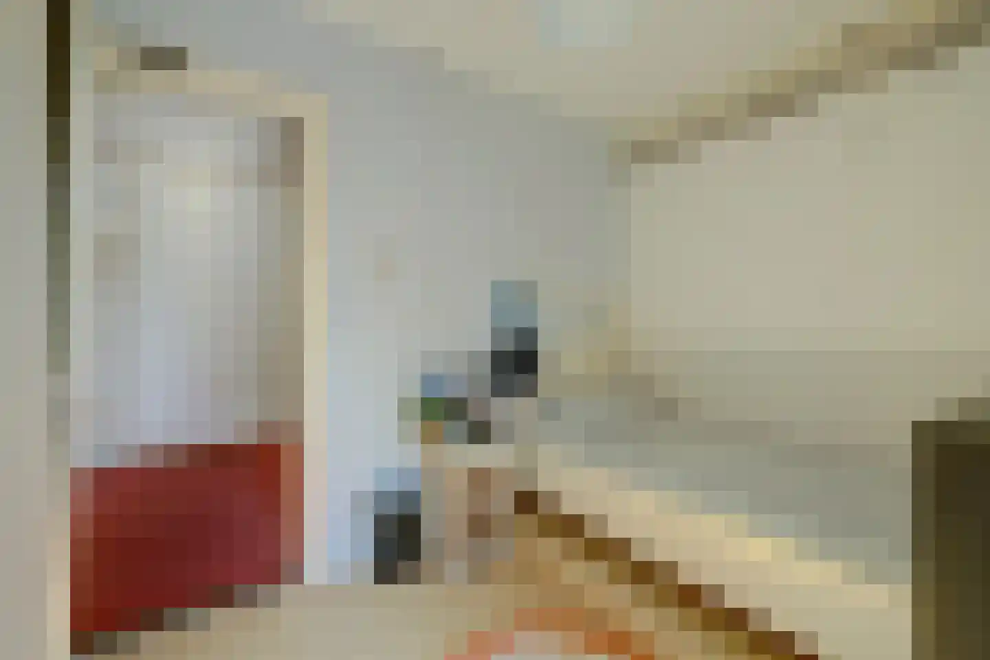 Smidsstraat 6 Poortvliet thumbnail 34