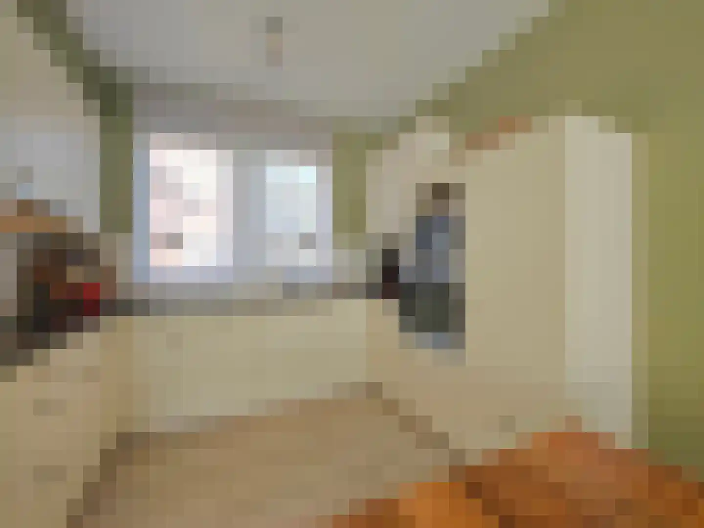 Smidsteeg 3 3630 Arriën thumbnail 10