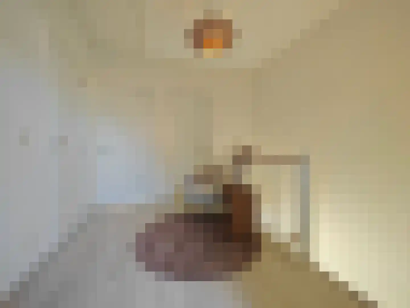 Smidsteeg 3 3630 Arriën thumbnail 11