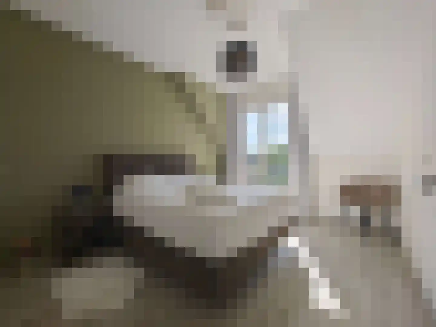 Smidsteeg 3 3630 Arriën thumbnail 12
