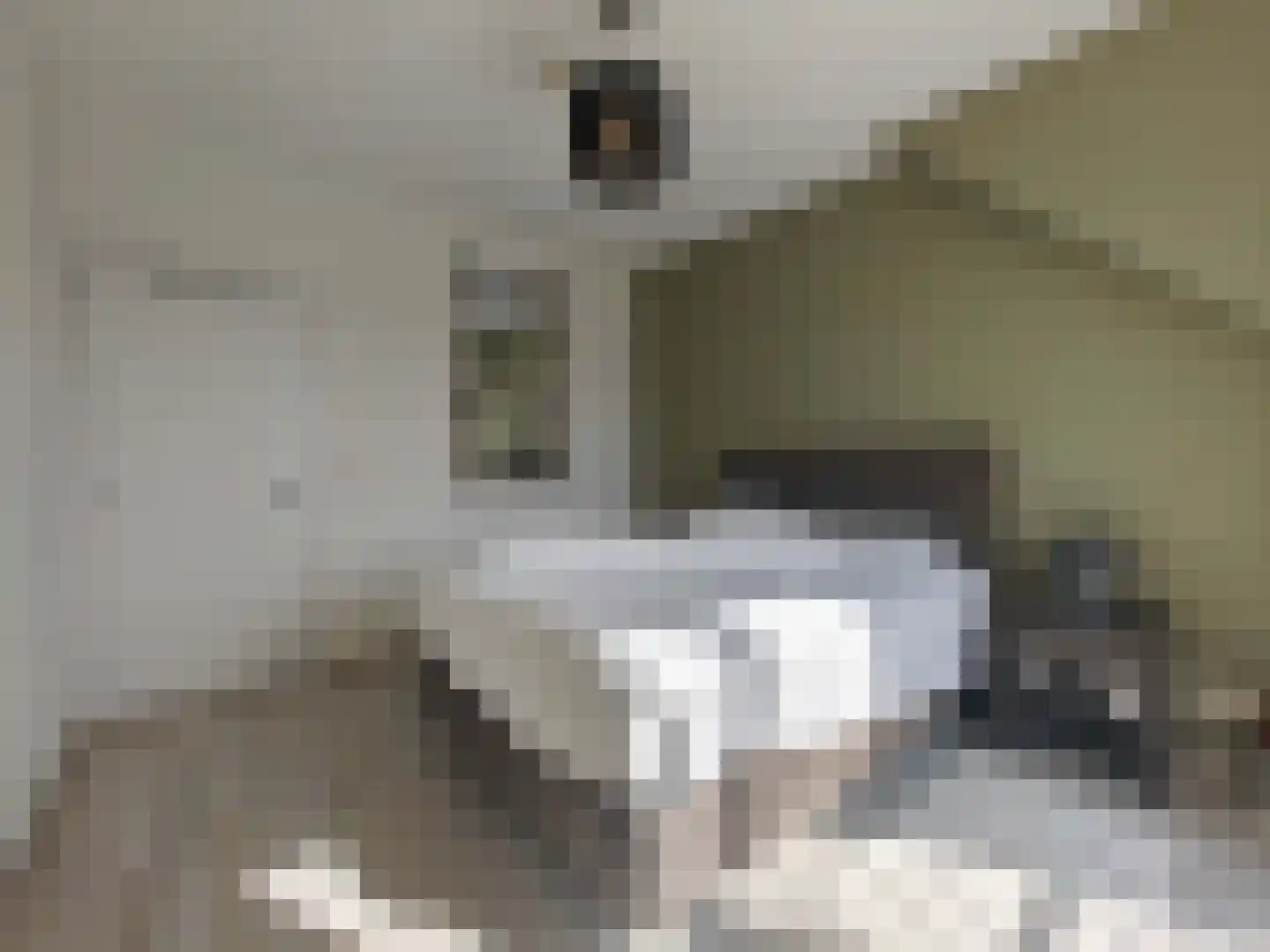 Smidsteeg 3 3630 Arriën thumbnail 13