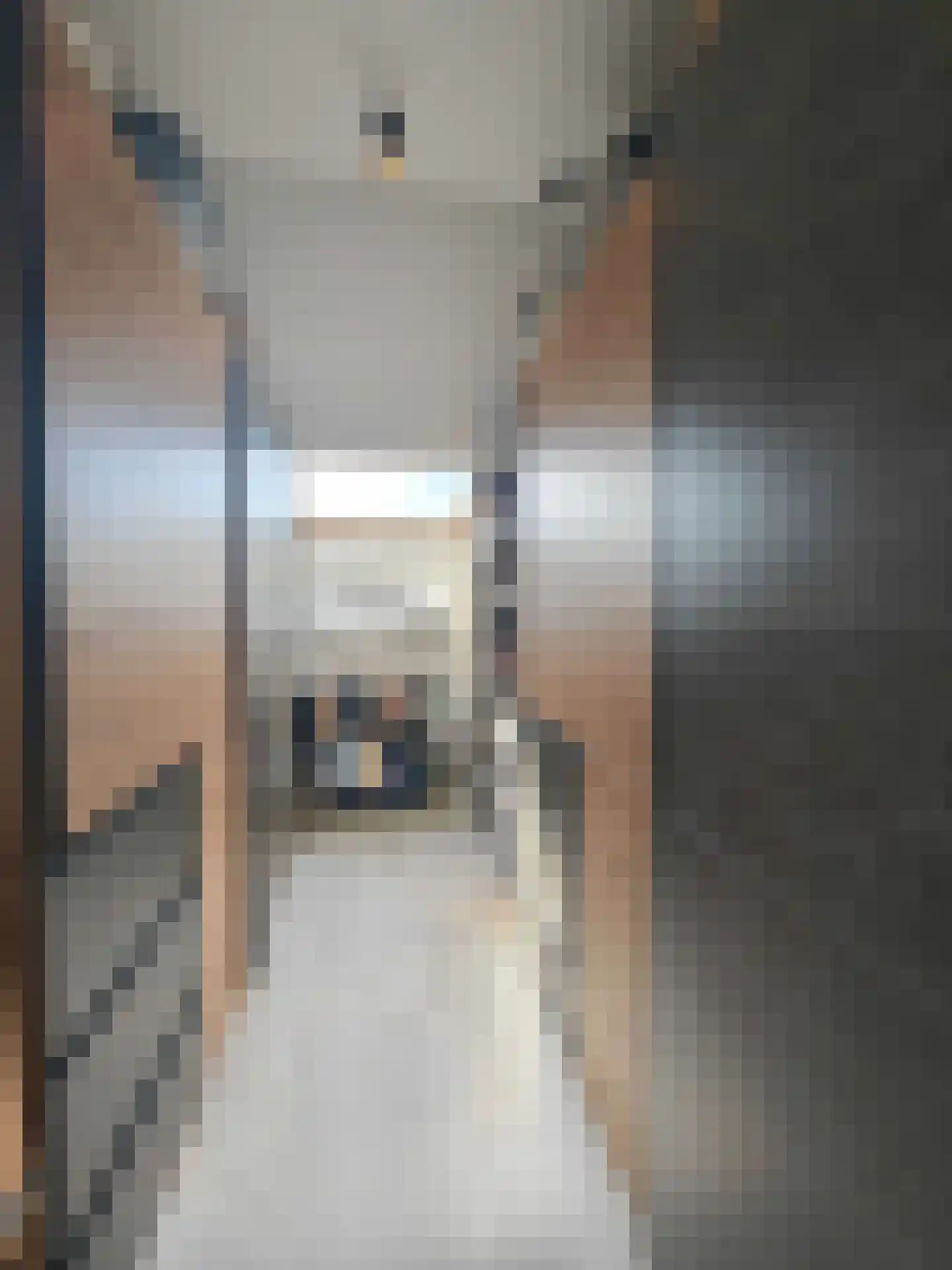 Smidsteeg 3 3630 Arriën thumbnail 14