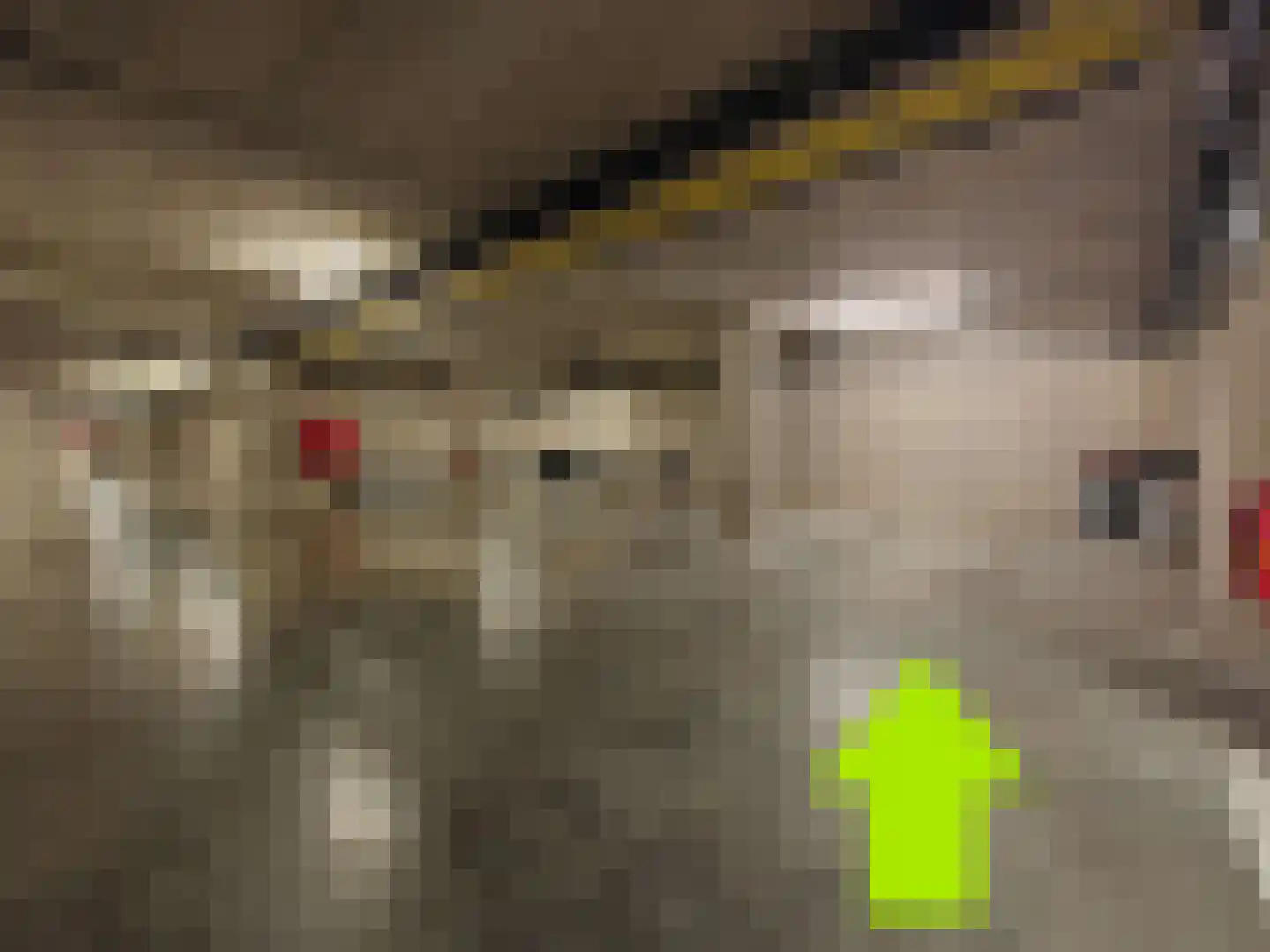 Smidsteeg 3 3630 Arriën thumbnail 23