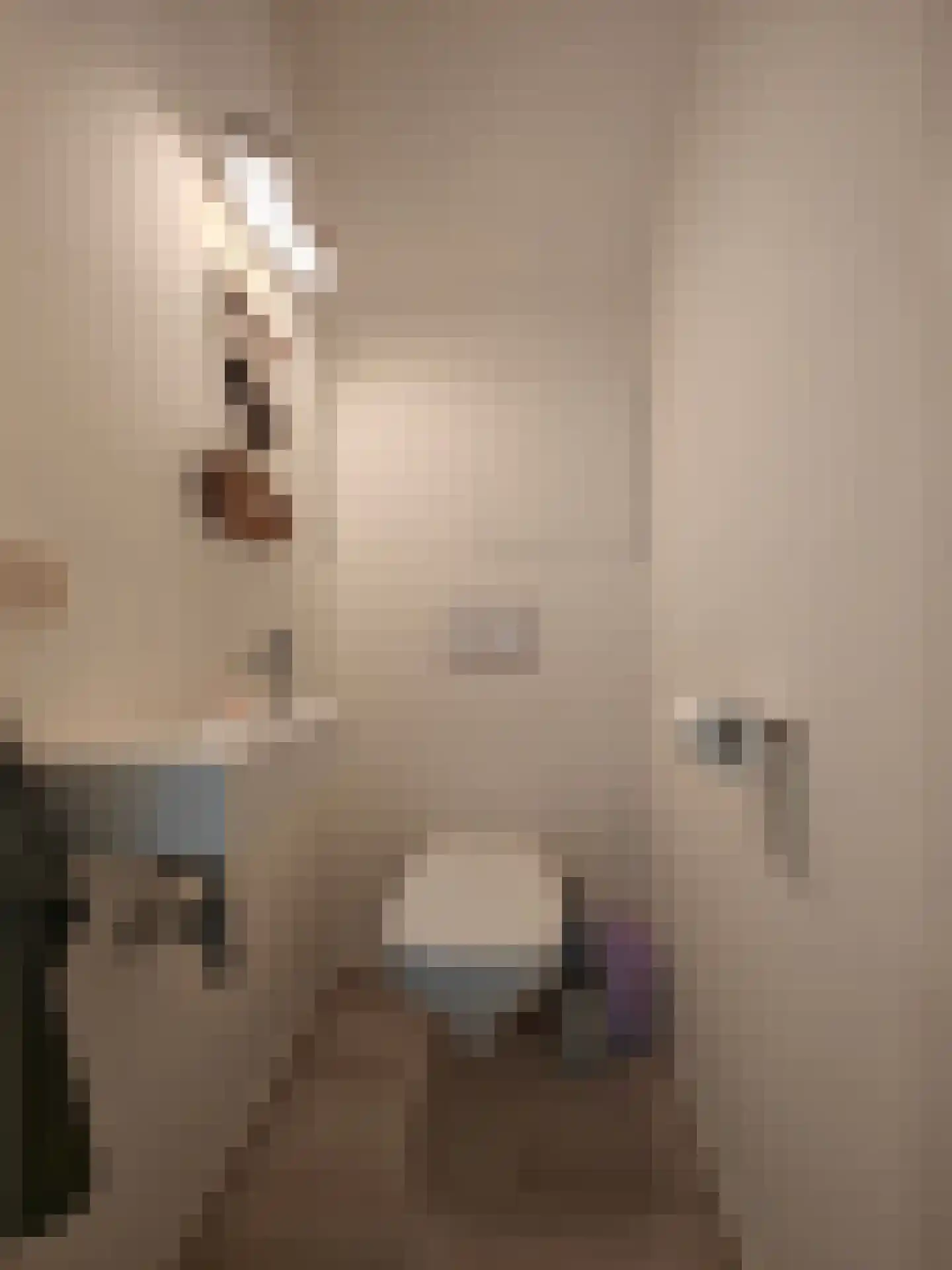 Smidsteeg 3 3630 Arriën thumbnail 4