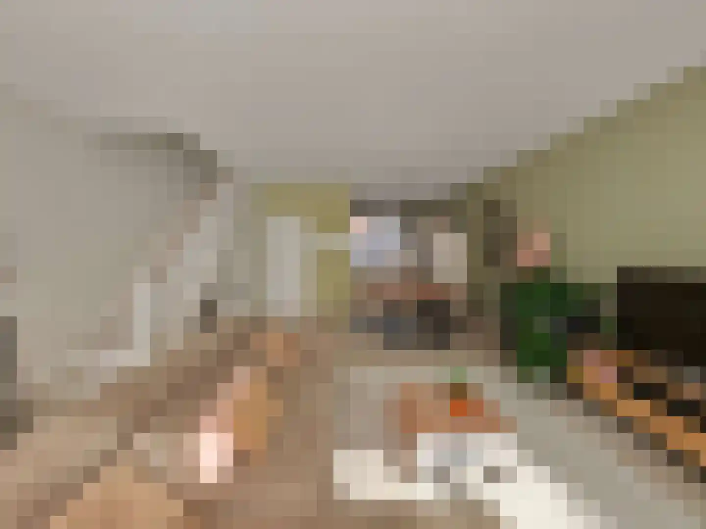 Smidsteeg 3 3630 Arriën thumbnail 6