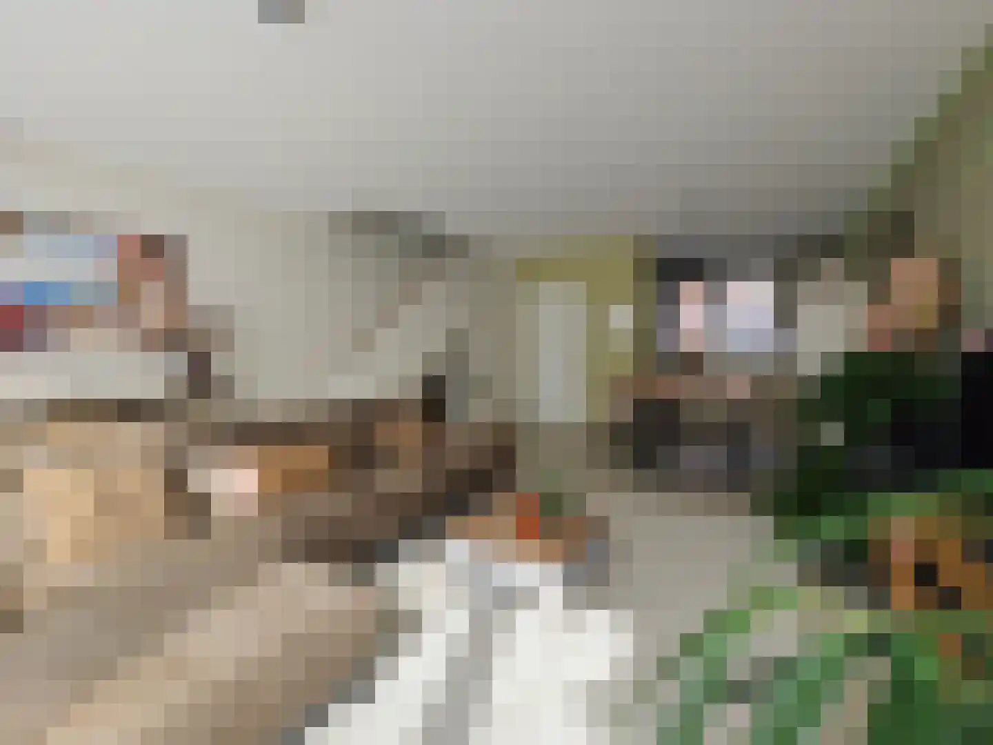 Smidsteeg 3 3630 Arriën thumbnail 7