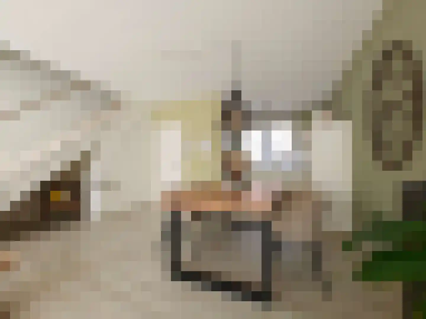 Smidsteeg 3 3630 Arriën thumbnail 9