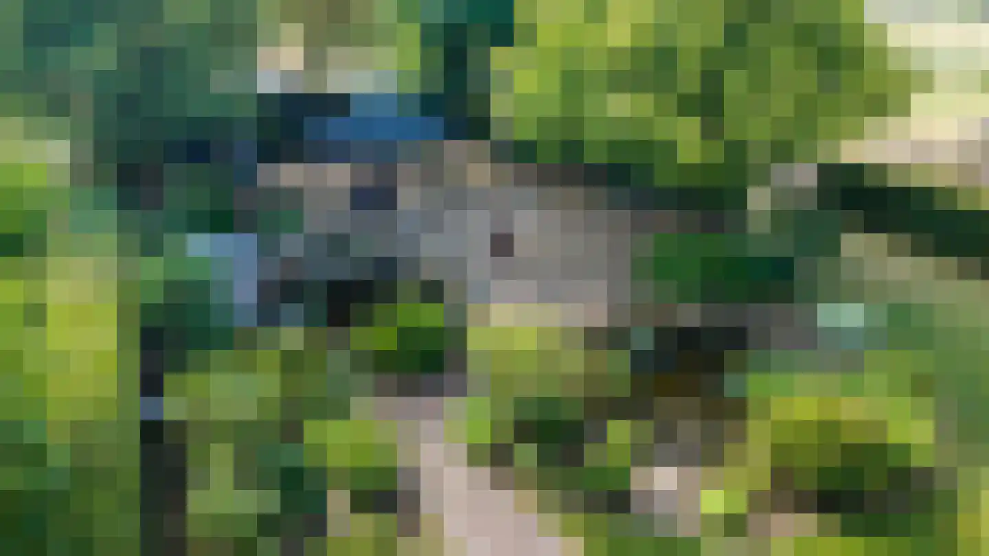 Smidstraat 10 Gendt thumbnail 32